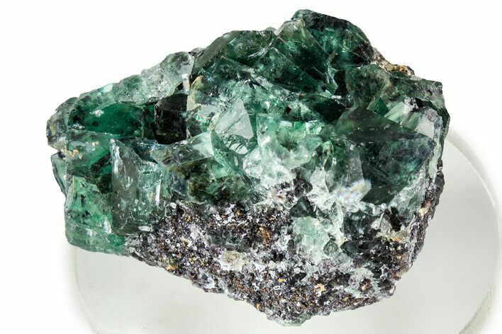 Gemmy Green Cubic Fluorite Cluster - Okorusu Mine #326542
